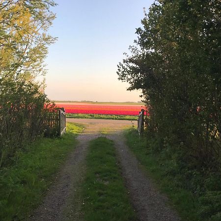 Flower Power Anna Paulowna Eksteriør bilde
